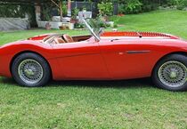 Austin Healey Andere