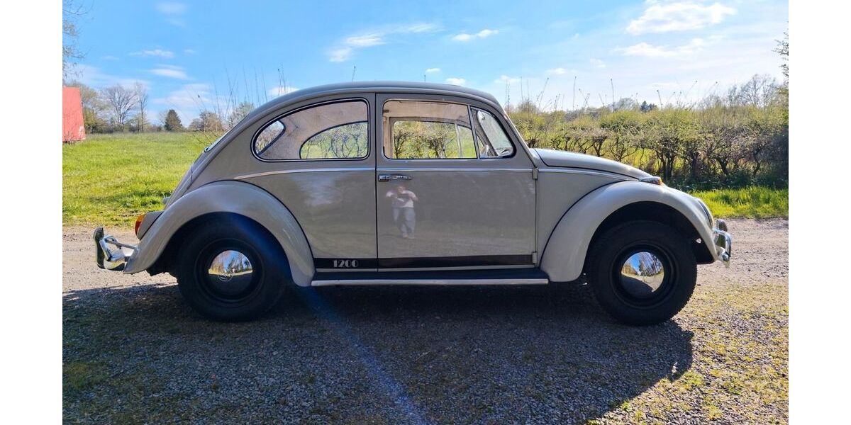 VW Käfer 68.500 km 10.450 &euro; Roetgen 52159