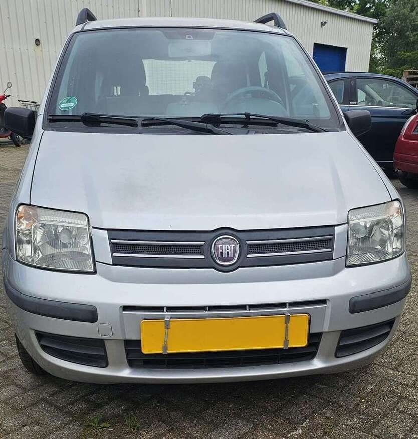 Panda