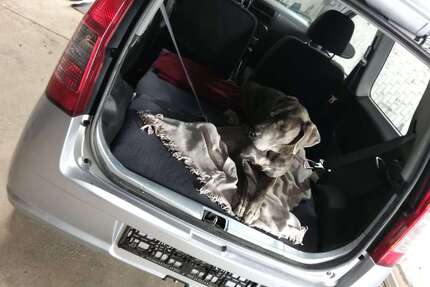Daihatsu Cuore