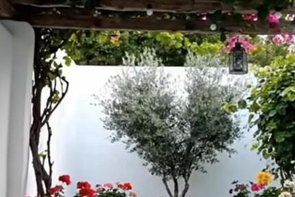 Haus Würselen - 5 Zimmer, 120 m&sup2;, 1.200&euro; | Angebot:25636942