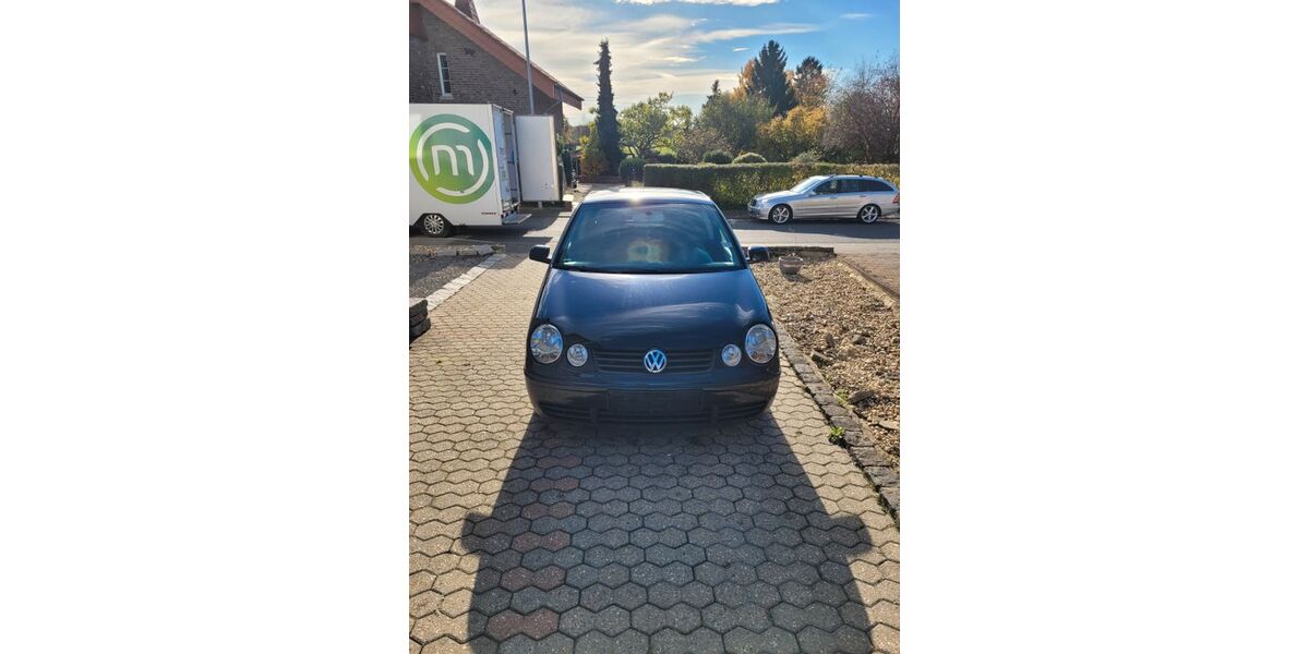 VW Polo 260.330 km 1.750 € Gangelt 52538