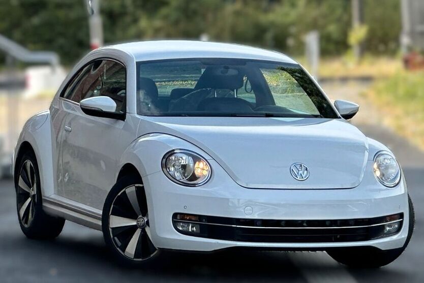 Beetle