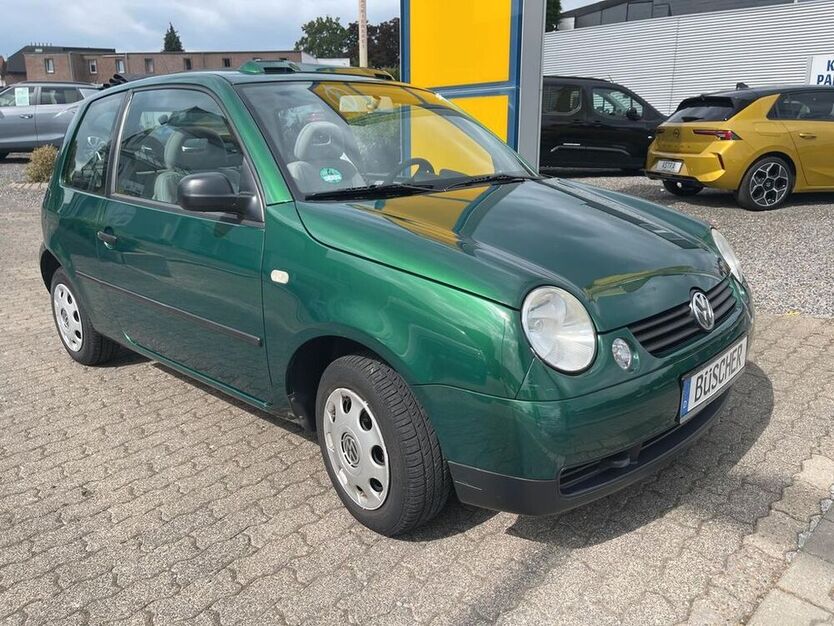 Lupo