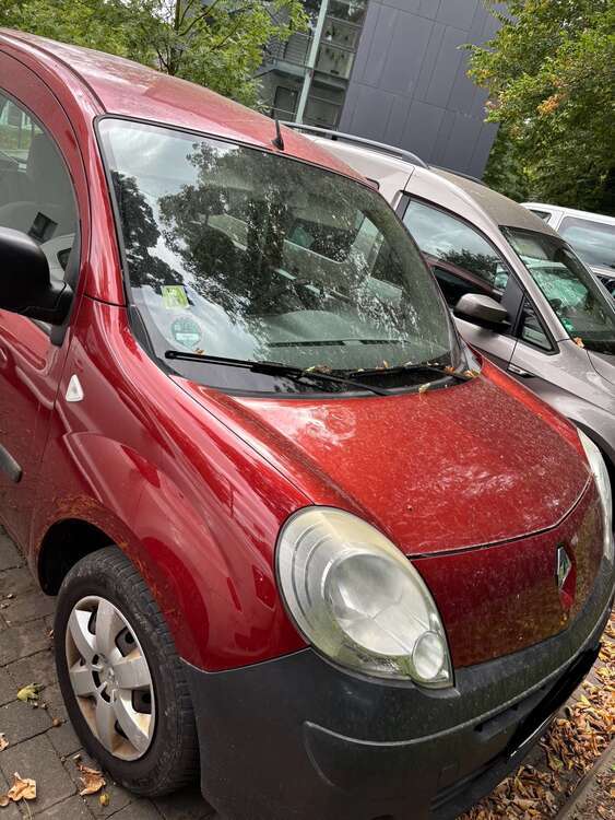 Kangoo