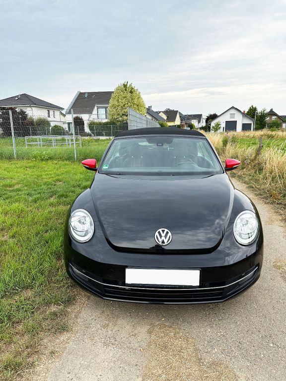 Beetle