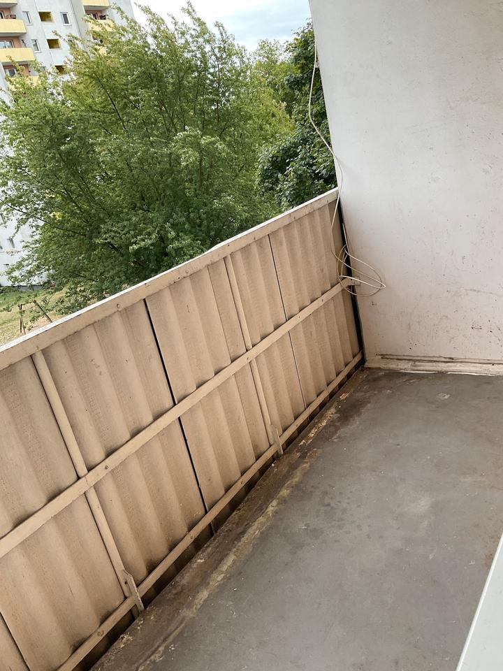 3 Zimmer Wohnung zimmer