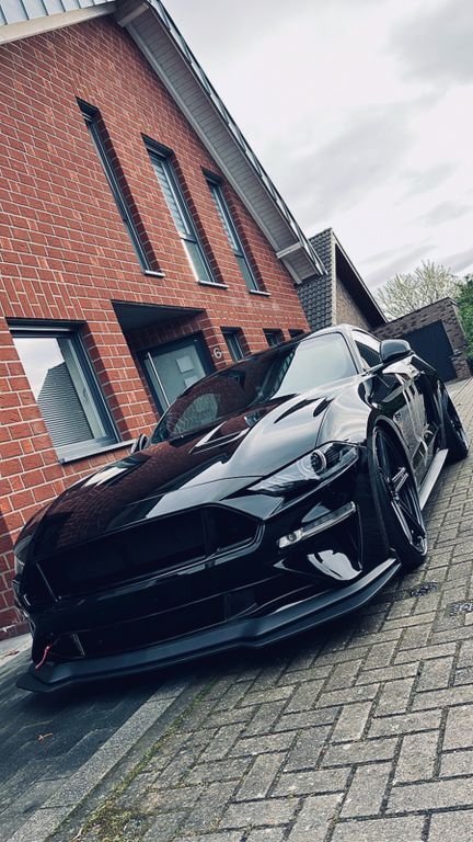 Mustang