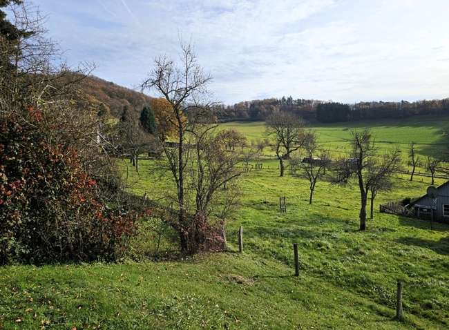 Wohnung zum Kaufen in Simmerath 96.000 € 48 m² 2 zimmer