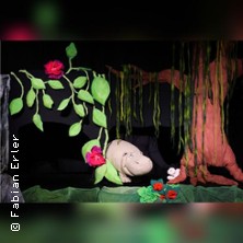 Kleiner Eisbär, wohin fährst du? 22.03.2026 Burg Frankenberg