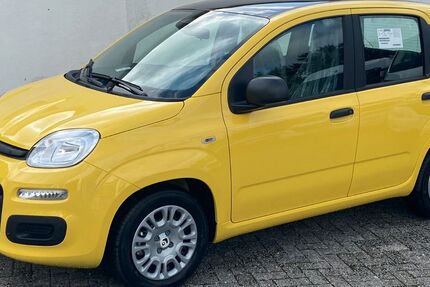 Fiat Panda 1.500 km 15.990 &euro; Baesweiler 52499