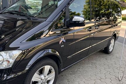 Mercedes Viano