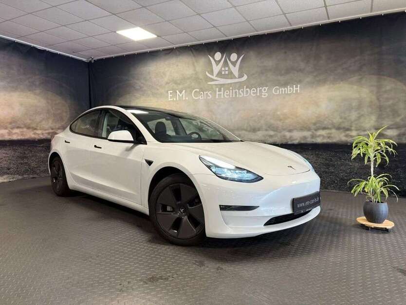 Model 3