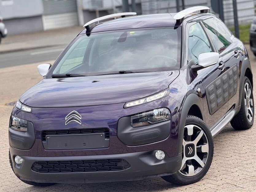 C4 Cactus