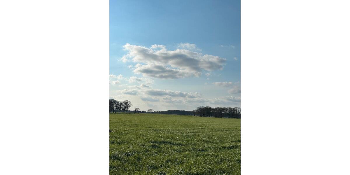 Etagenwohnung Eschweiler - 5 Zimmer, 110 m&sup2;, 990&euro; | Angebot:25810606