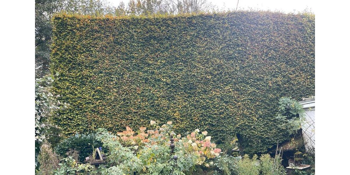 Bauernhaus, Landhaus Monschau - 7 Zimmer, 256 m&sup2;, 249.000&euro; | Angebot:26126906