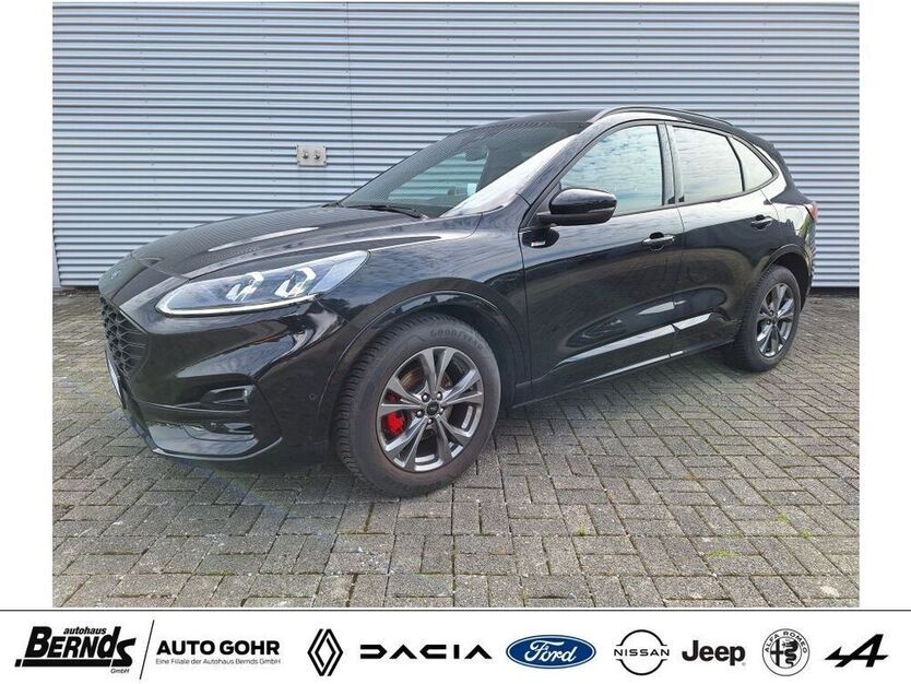Kuga