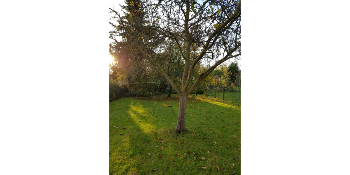 Grundsolides Domizil im beliebten Huchem-Stammeln 4 zimmer