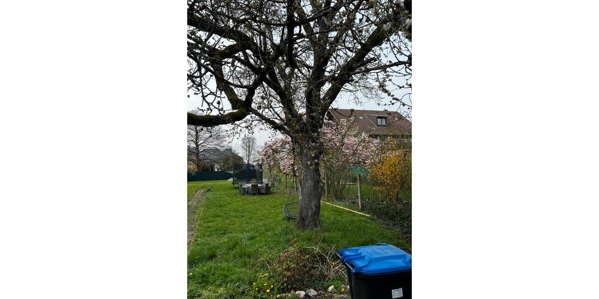 Etagenwohnung Alsdorf - 5 Zimmer, 110 m&sup2;, 1.030&euro; | Angebot:26316643