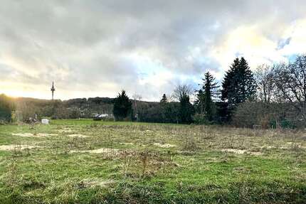 Grundstück zu verkaufen in Hürtgenwald 205.000 € 1160 m² zimmer