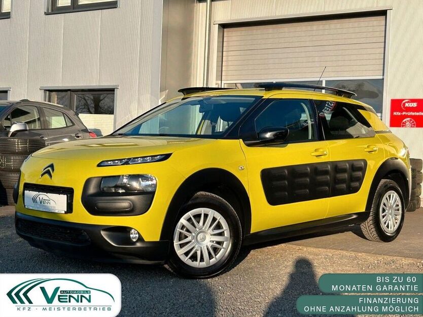 C4 Cactus
