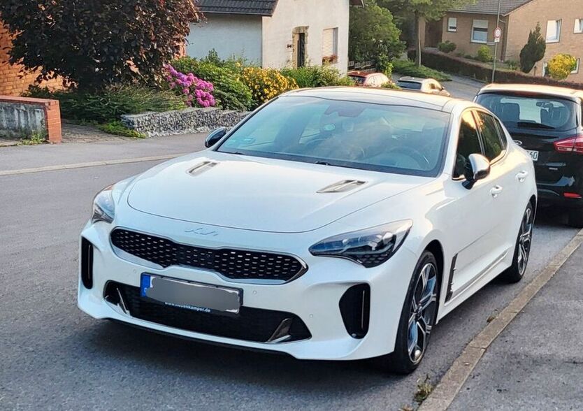 Stinger