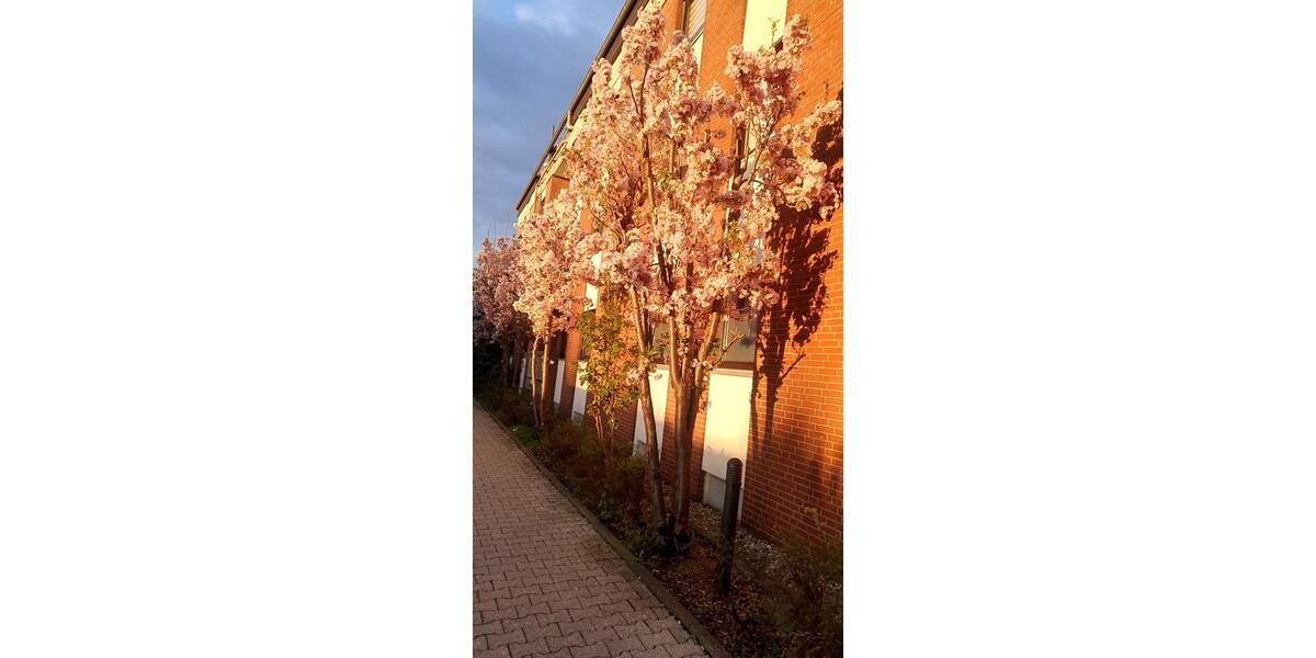 Etagenwohnung Aachen Aachen-Mitte - 1.5 Zimmer, 48 m&sup2;, 175.000&euro; | Angebot:26889625