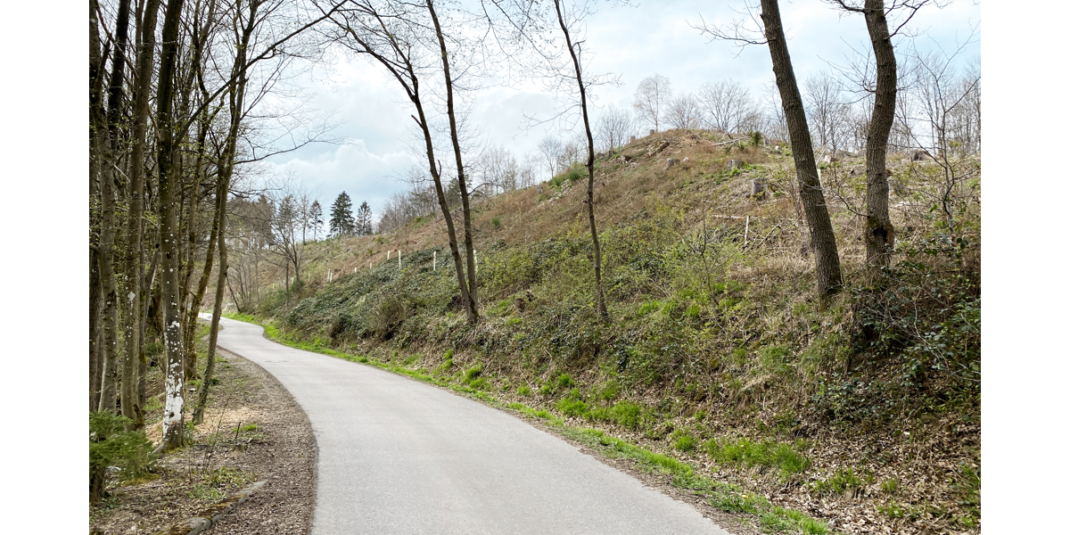 JÄSCHKE - Grundstück in Schevenhütte - Grundstück Stolberg Gressenich | Angebot:22508354