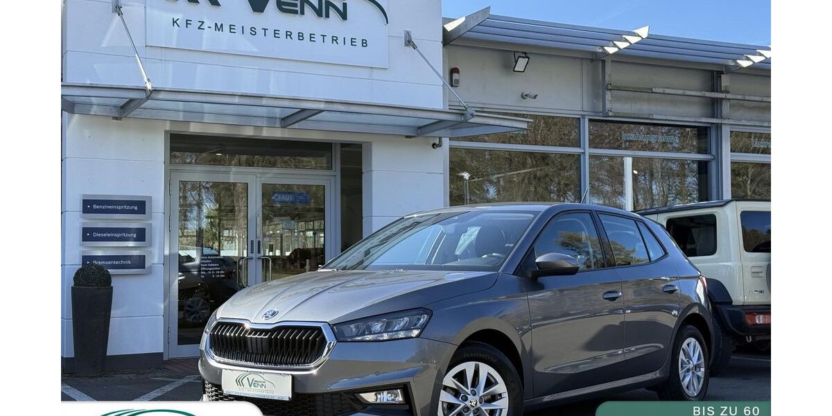 Skoda Fabia 36.150 km 18.980 &euro; Monschau (bei Aachen) 52156