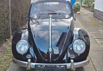 VW Käfer