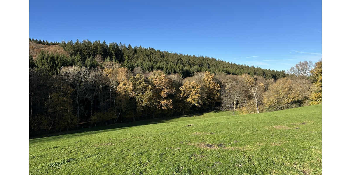 JÄSCHKE - Baugrundstück in Roetgen-Rott – für Ihr Traumhaus in naturnaher Lage! zimmer