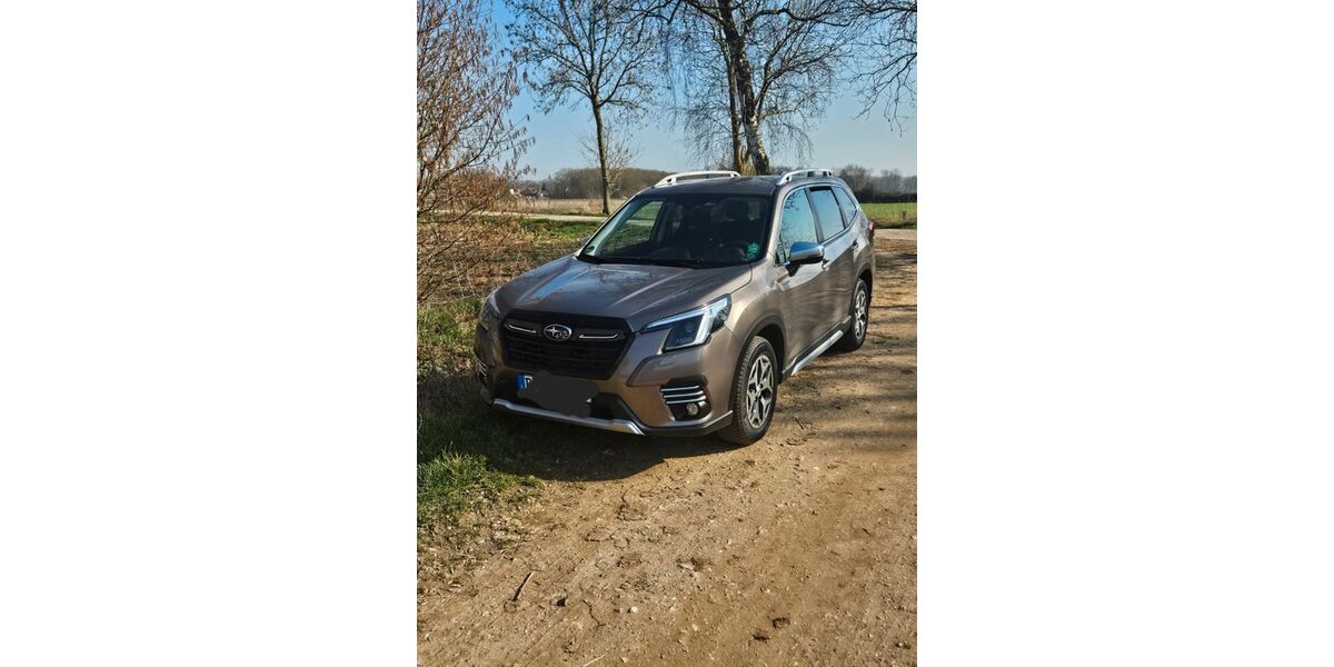Subaru Forester 17.500 km 32.000 &euro; Linnich 52441