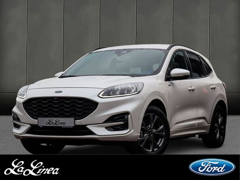 Kuga