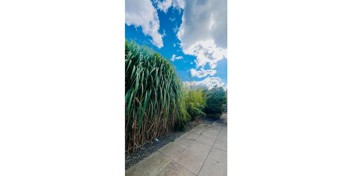 Einfamilienhaus Niederzier - 549.000&euro; | Angebot:23728600