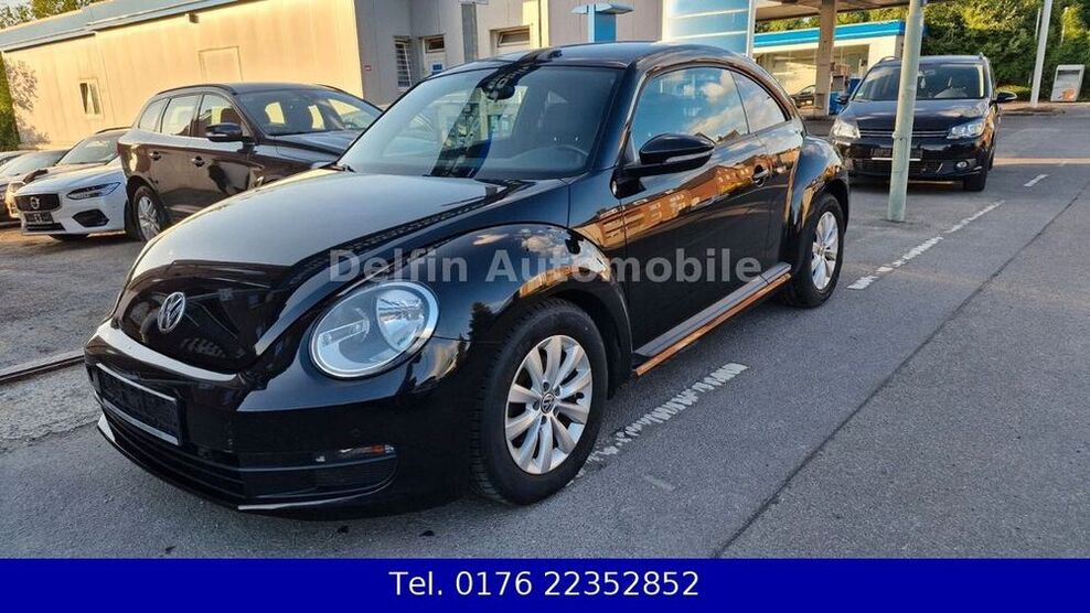 Beetle