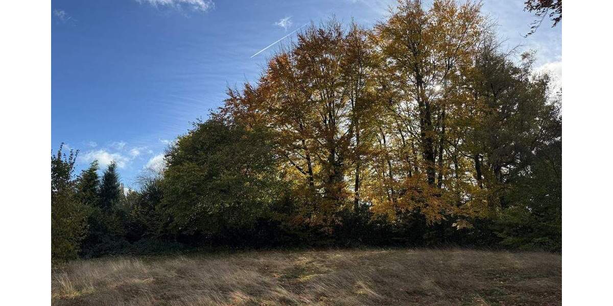 Grundstück Roetgen Rott - 230.000&euro; | Angebot:25743215