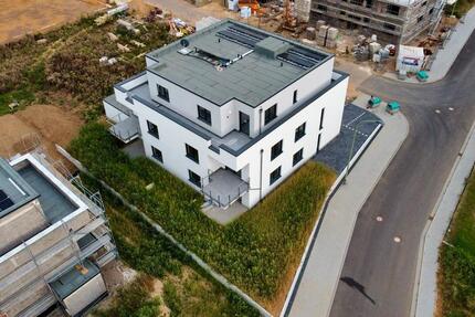 Moderne Erdgeschosswohnung mit Garten und Stellplatz zu vermieten 3 zimmer