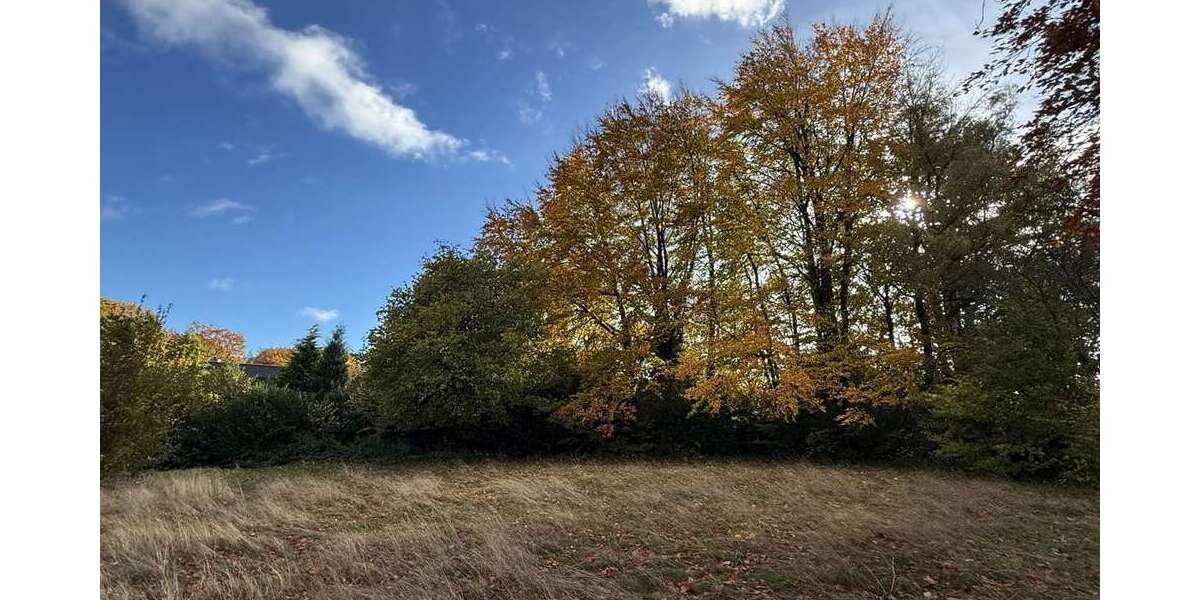 Grundstück zu verkaufen in Roetgen 460.000 € 1561 m² zimmer