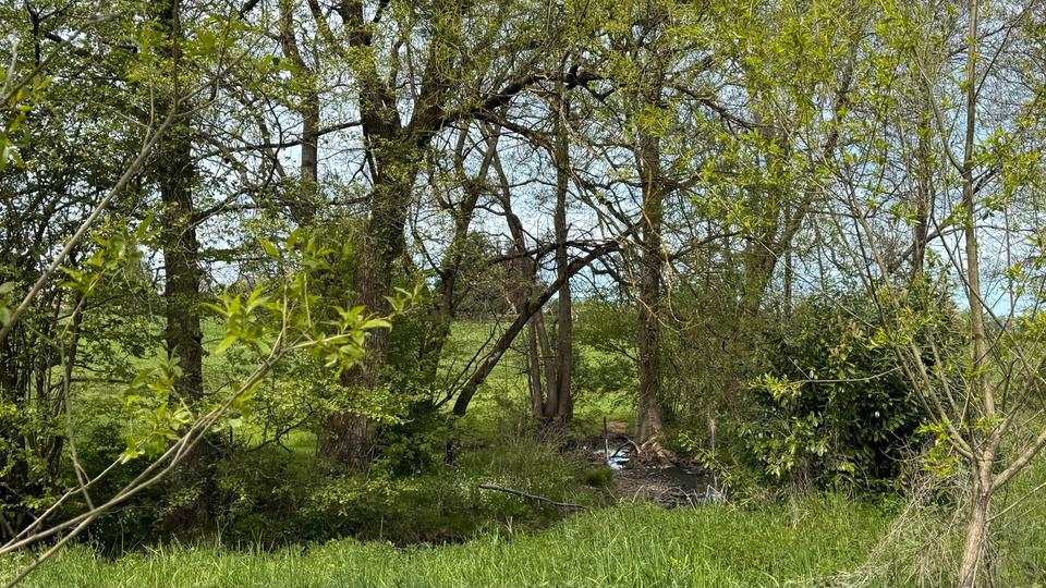 Einfamilienhaus Aachen Eilendorf - 890.000&euro; | Angebot:26364719