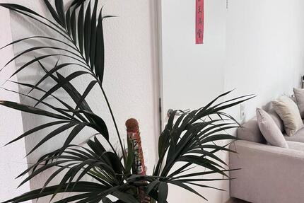 86 m^2 Wohnung in Aachen zu vermieten 2 zimmer