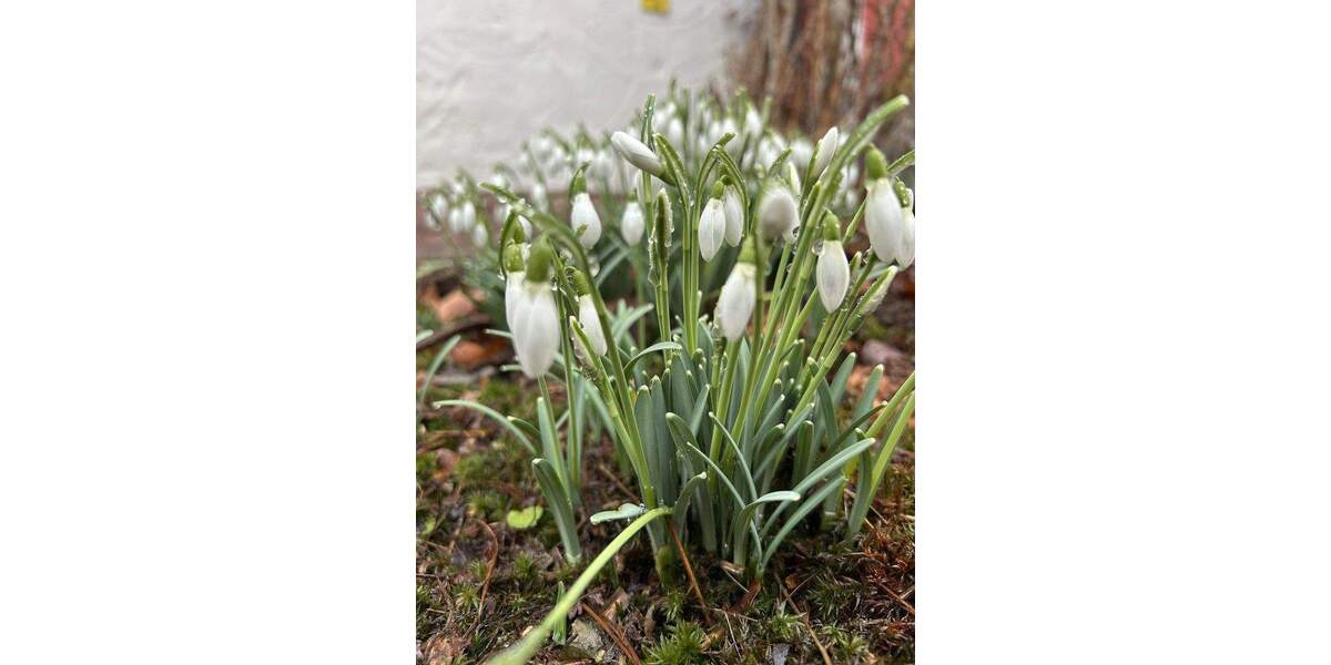 Reihenmittelhaus Aachen Aachen-Mitte - 5 Zimmer, 98 m&sup2;, 349.000&euro; | Angebot:25722755