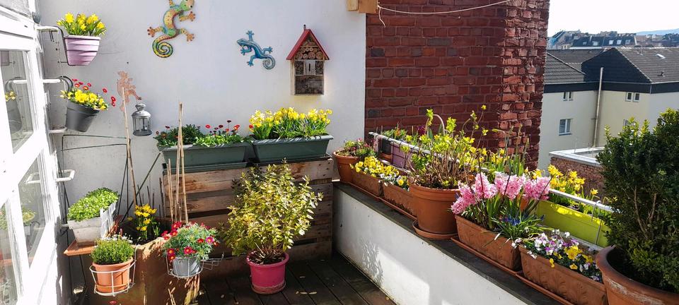 Dachgeschoßwohnung Aachen Aachen-Mitte - 3 Zimmer, 110 m&sup2;, 299.000&euro; | Angebot:25713588