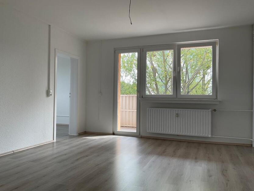 3 Zimmer Wohnung zimmer