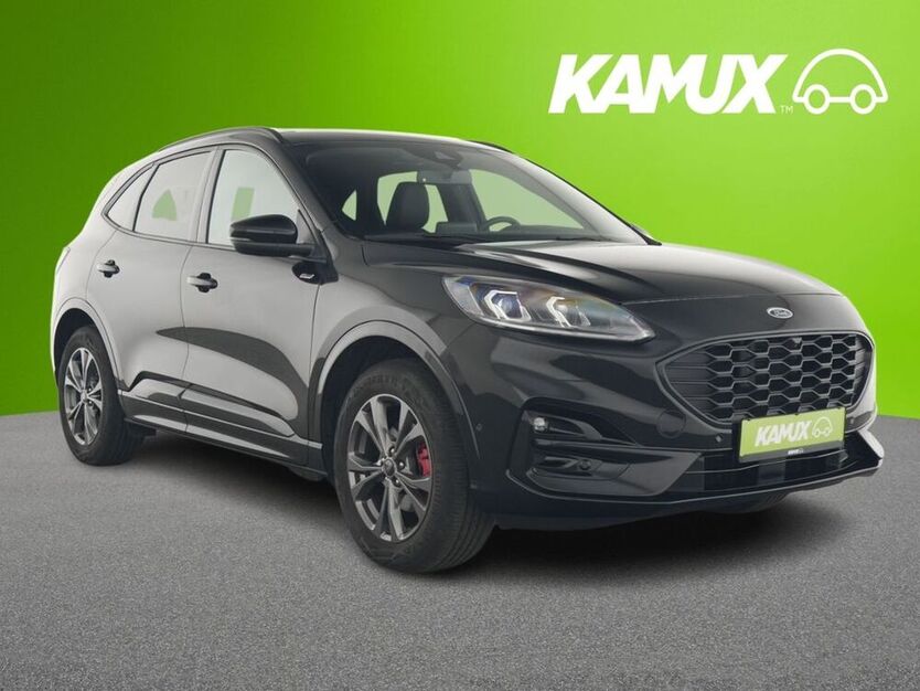 Kuga