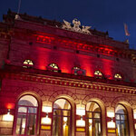 Clivia