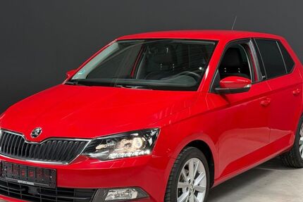 Skoda Fabia 83.576 km 8.900 &euro; Jülich 52428