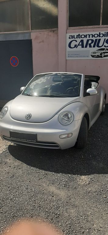 Beetle