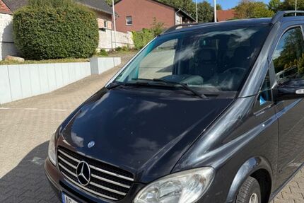Mercedes Viano