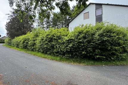 Haus zum Kaufen in Nideggen-Schmidt 398.000 € 300 m² 12 zimmer