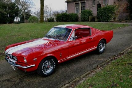 Ford Mustang 127.000 km 22.500 &euro; Düren-Birkesdorf 52353